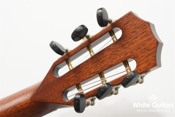 312ce 12Fret V-Class